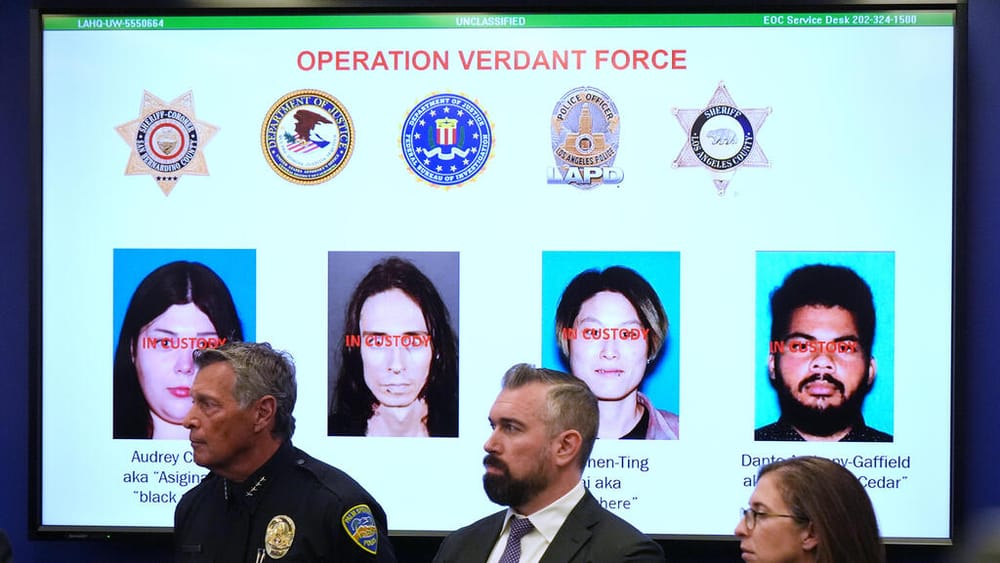 Раскрыта попытка теракта в Лос-Анджелесе: организация «Черепаший остров» планировала взрывы в канун Нового года