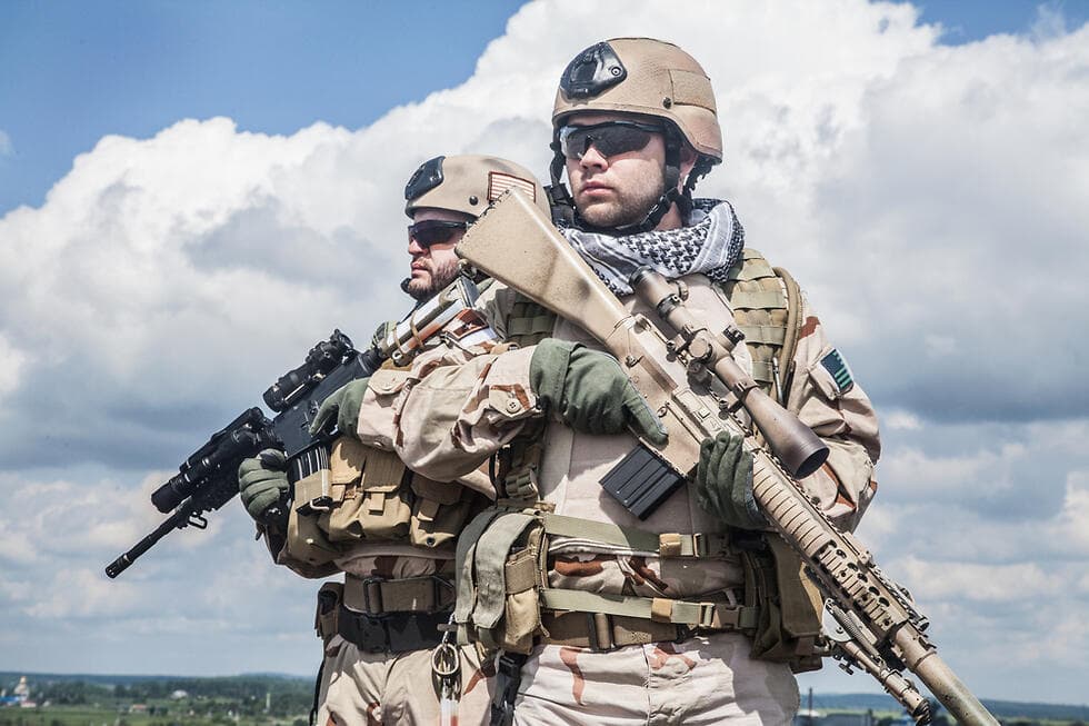 "אריות הים", ארכיון (צילום: Shutterstock) אריות הים