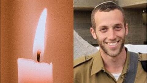 אמיתי צבי גרנות