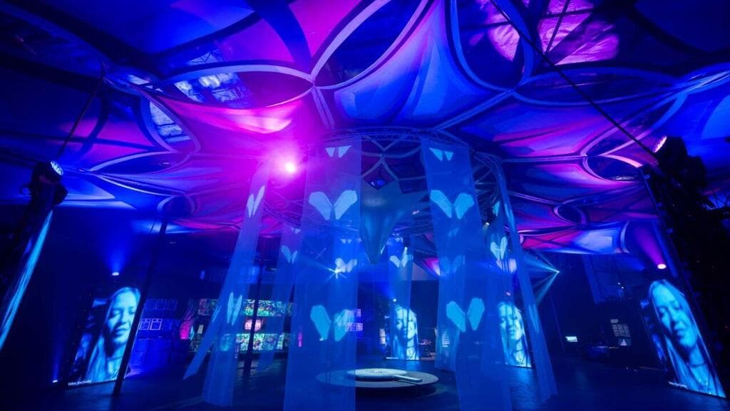 מיצב הנובה הגיע למיאמי לאחר ההצלחה בארץ ובעולם: בין המבקרים בערב הפתיחה איוונקה טראמפ וג'ארד קושנר