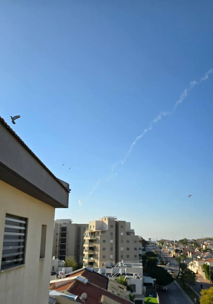 ללא קרדיט מרוני גרין שאולוב