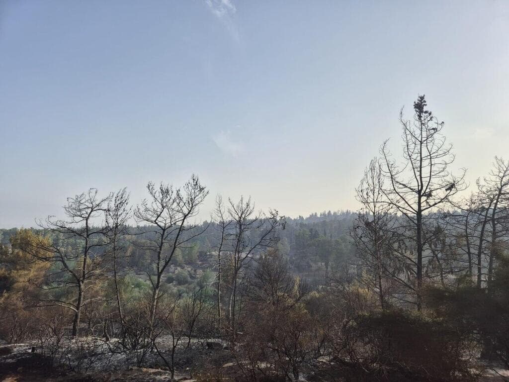 השריפה ביער קנדה