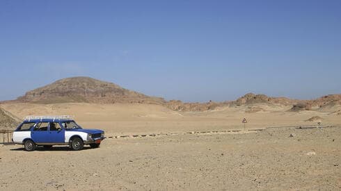 צילום: shutterstock צילום: shutterstock