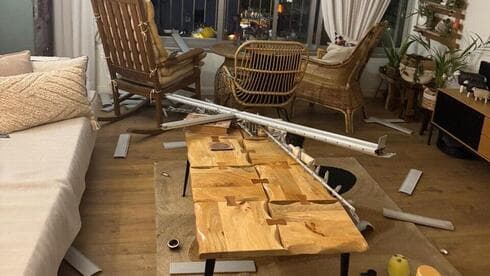 צילום: עמית פזטל צילום: עמית פזטל