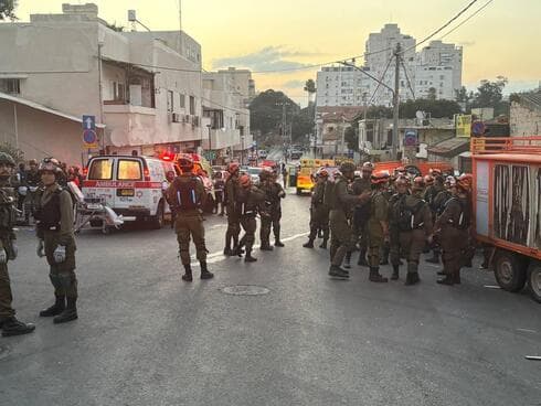 צילום: מאיר תורג'מן צילום: מאיר תורג'מן