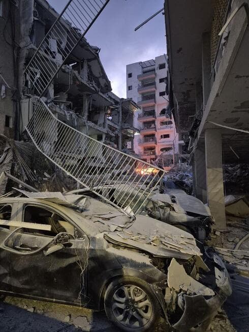 צילום: יואב קרן צילום: יואב קרן