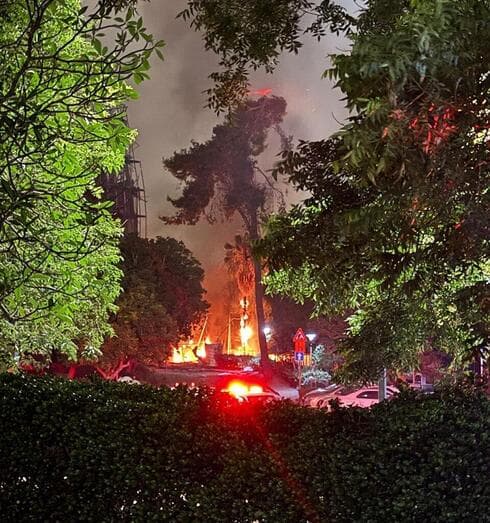 צילום: מאיר תורג'מן צילום: מאיר תורג'מן