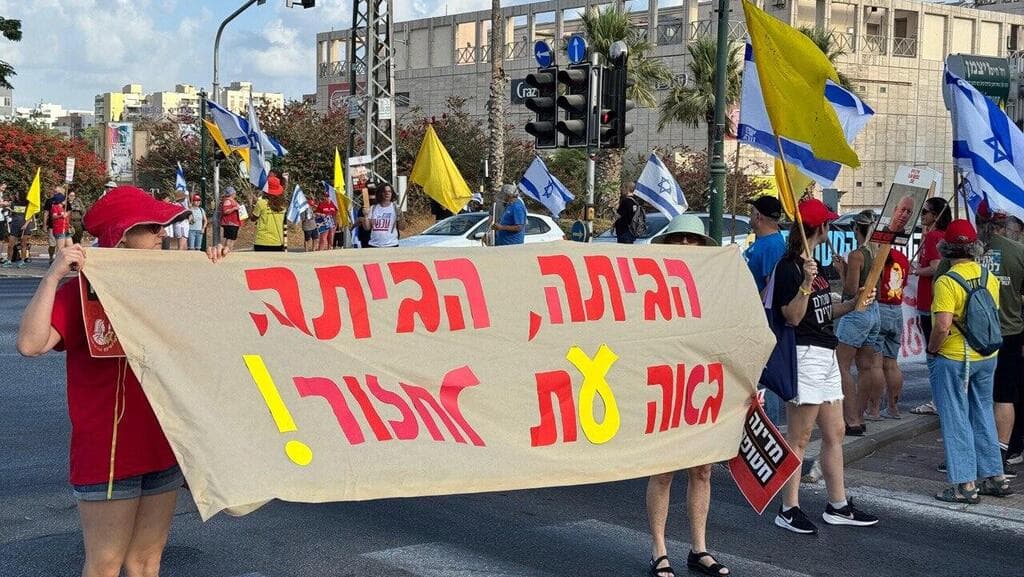 מחאה בנס ציונה ( צילום: ורדית אלון קורפל) מפגינים בצומת הדמוקרטיה, נס ציונה