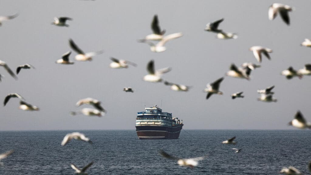 מצר הורמוז (צילום: REUTERS/Amr Alfiky) ציפורים עפות ב מיצרי הורמוז
