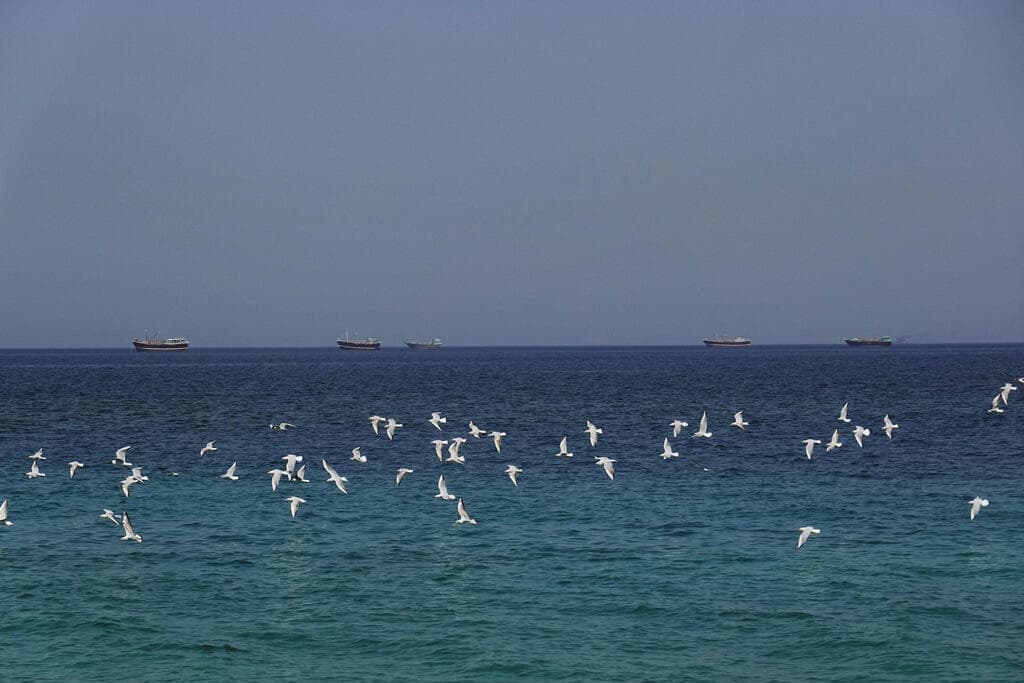 מצרי הורמוז (צילום: REUTERS/Amr Alfiky) ציפורים עפות ב מיצרי הורמוז