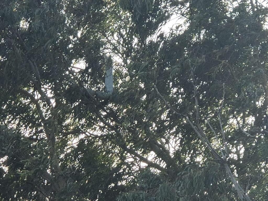 כטב"ם שנפל באזור הגליל