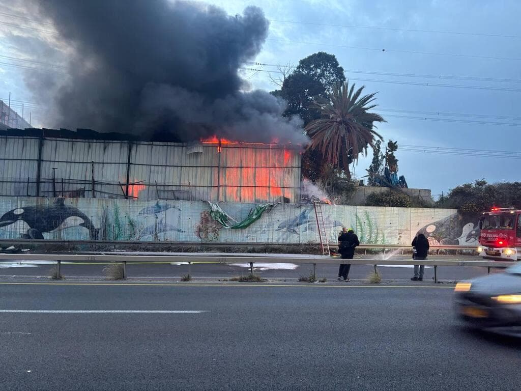 זירת הנפילה במרכז הארץ