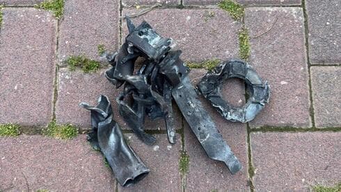 צילום: רון בן ישי צילום: רון בן ישי