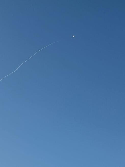 צילום: שמעון אלבז צילום: שמעון אלבז