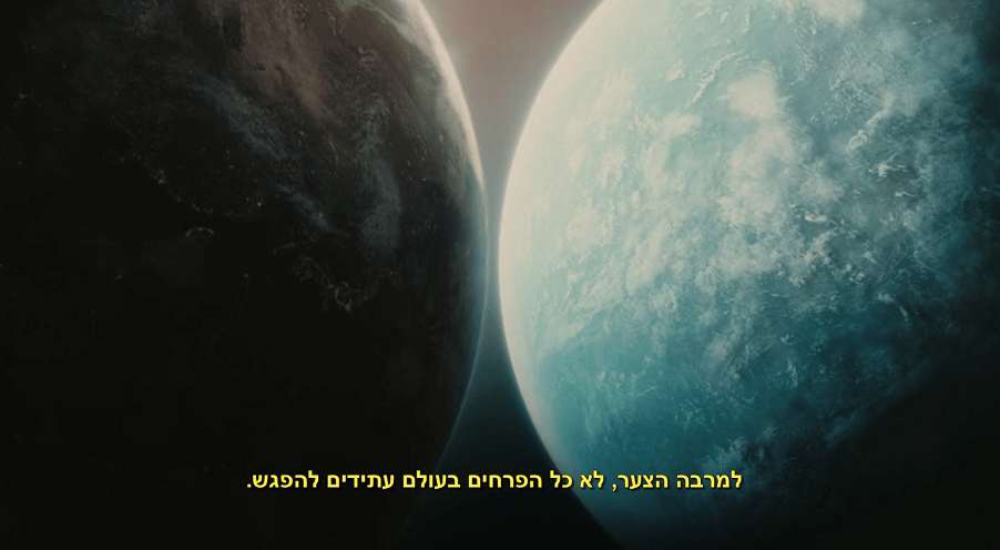 זר פרחים בלתי אפשרי