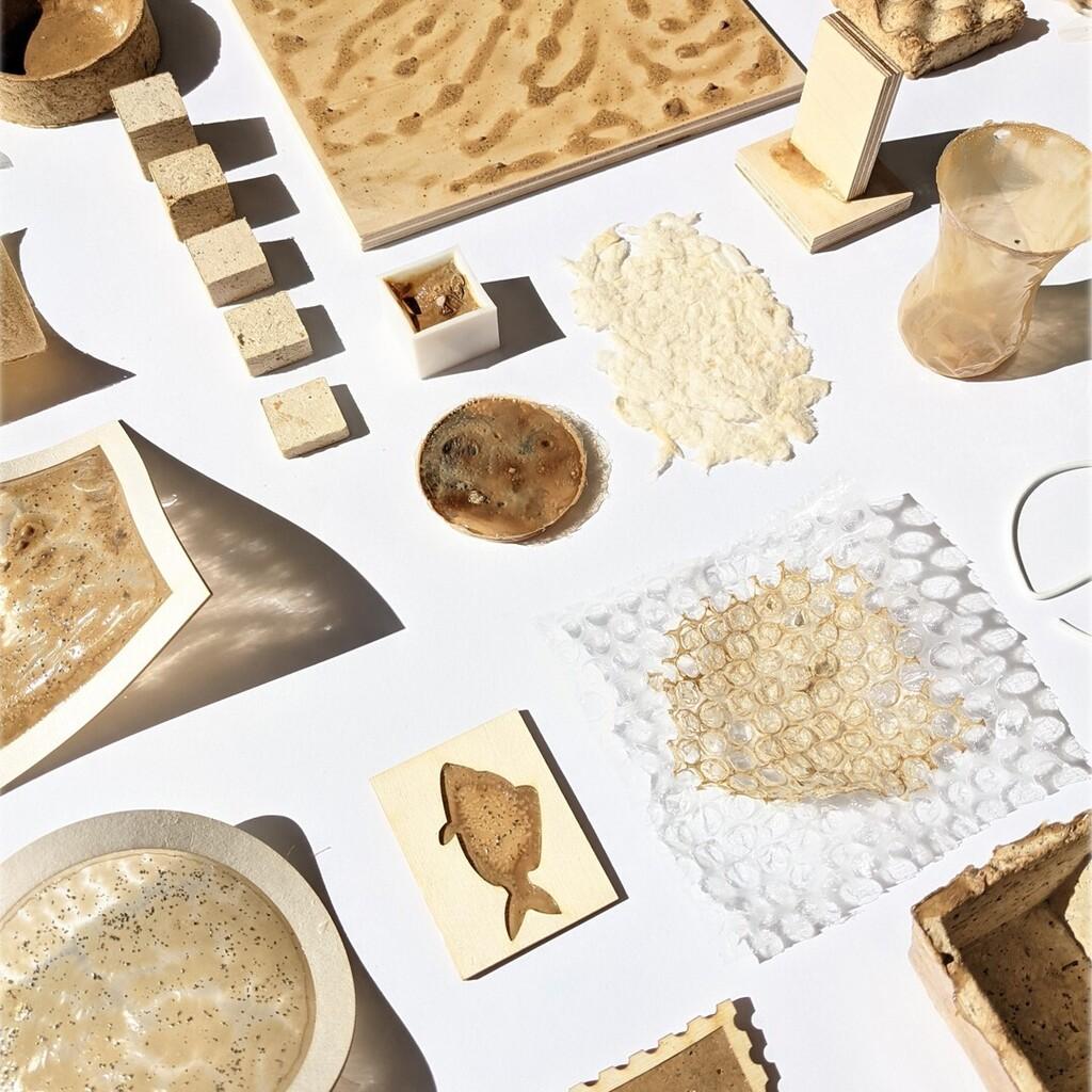 סדרת ניסויים על מוצר הפסולת השכיח ביותר במרחב הציבורי: בדלי סיגריות (צילום: יעל מרדכי) יעל מרדכי