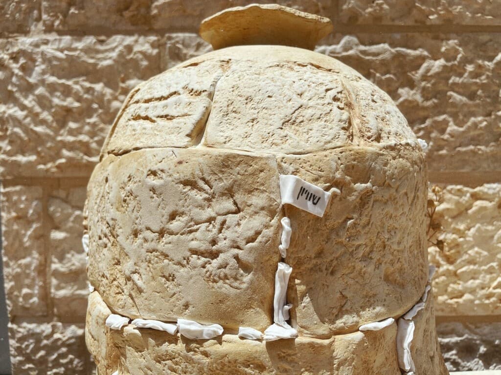 יצירתית ומלאה בהומור: "אגרTale" (צילום: יבגניה קירשטיין) יבגניה קירשטיין