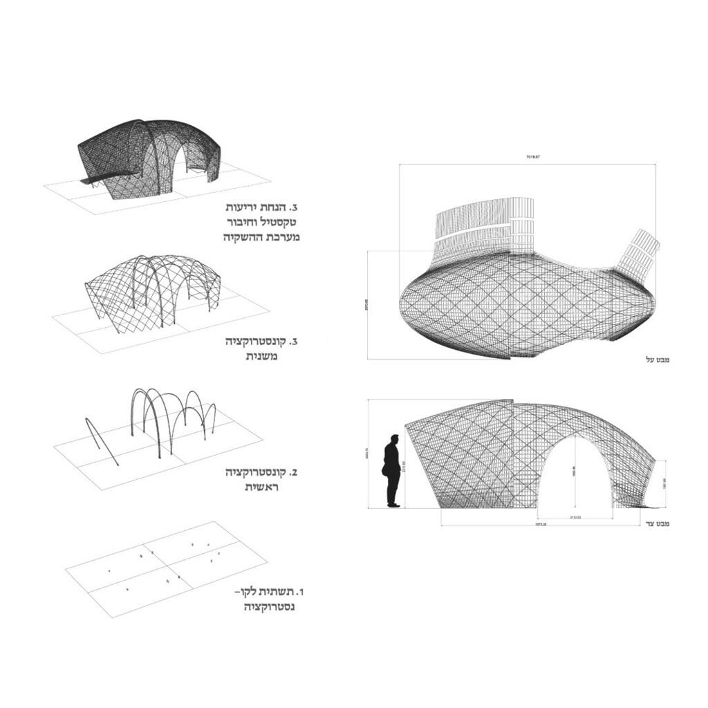 שורשי עשב החיטה הופכים לחומר אלסטי ומבודד (הדמיה: עמרי כהן) עמרי כהן