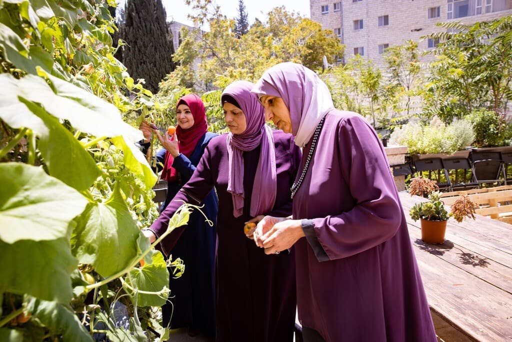 דבורים גג מזרח ירושלים