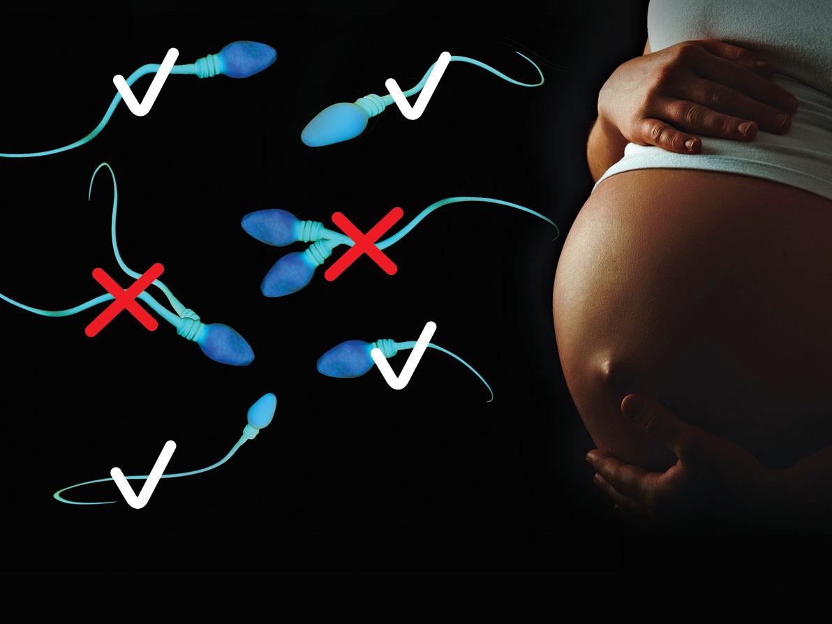 החשש של כל אמא: תורם בבנק הזרע נמצא לוקה במחלות גנטיות חמורות