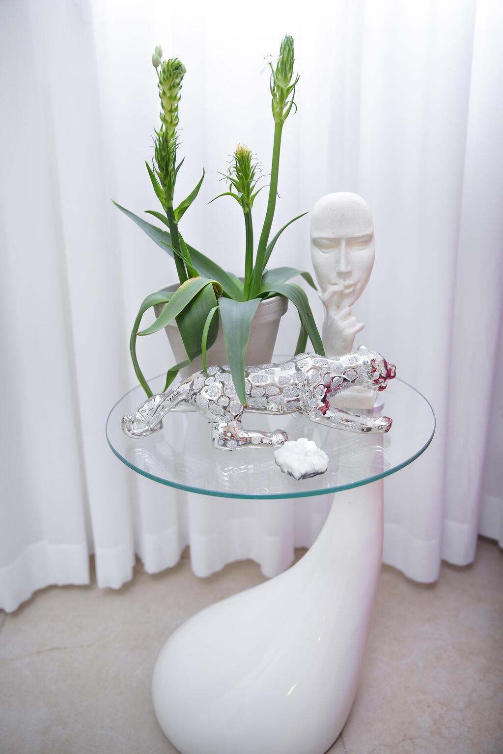 "אנשים חושבים שימצאו בית ורוד עם קירות מכוסים נוצות ופאייטים, אבל הבית לבן ונקי" (צילום: ענבל מרמרי) הבית של קיי לונג