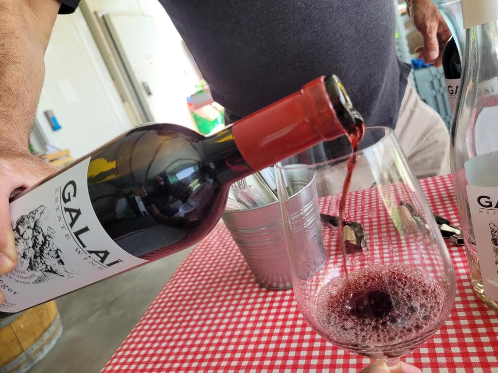 גבינות, יינות ומטעמים. בוקר ביקב גלאי (צילום: צביקה בורג) גבינות, יינות ומטעמים. בוקר ביקב גלאי