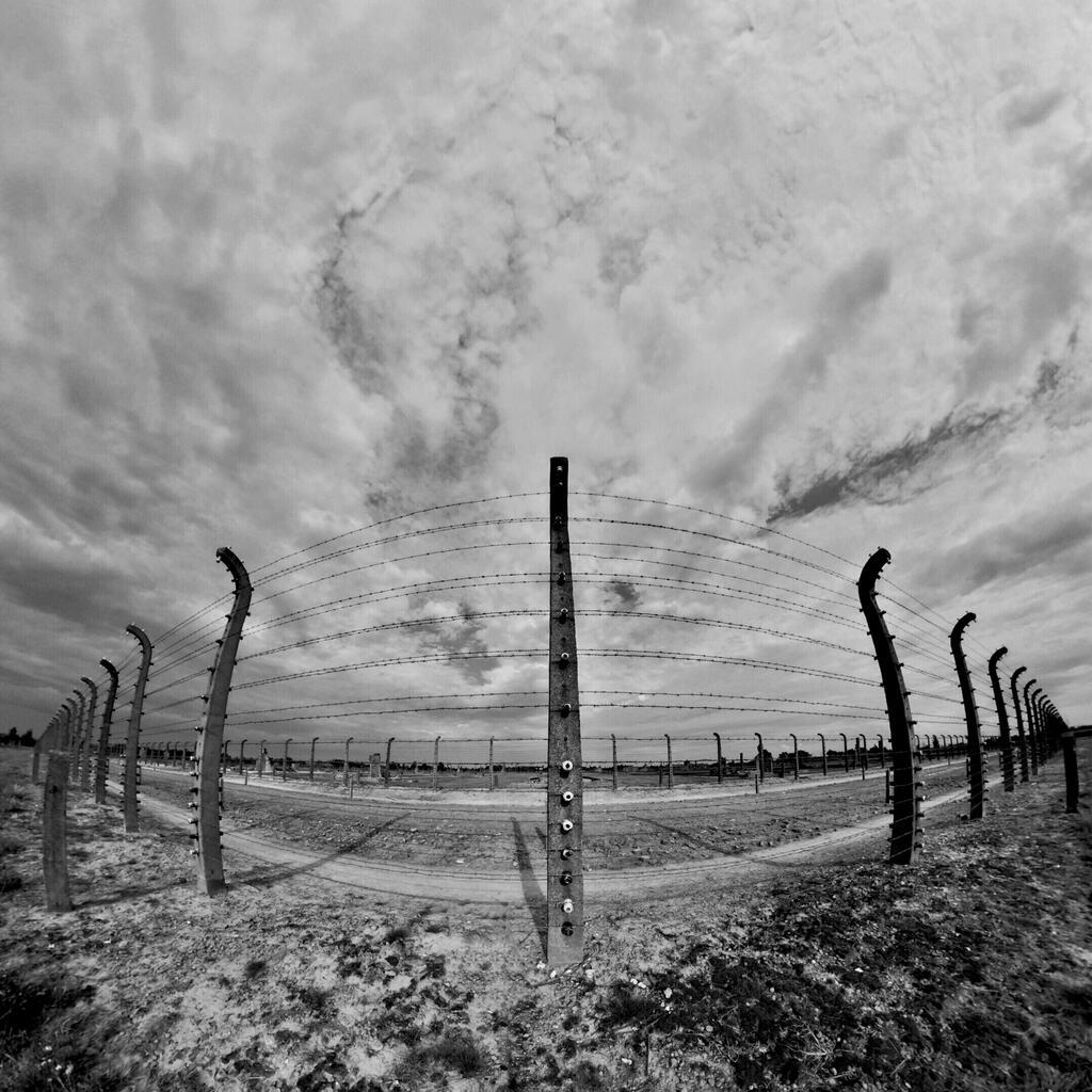הגדר ההיקפית באושוויץ