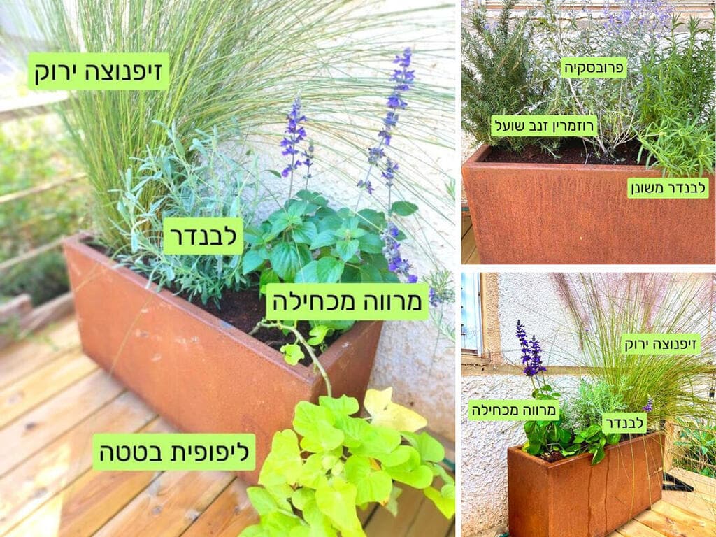 אדניות מרגיעות