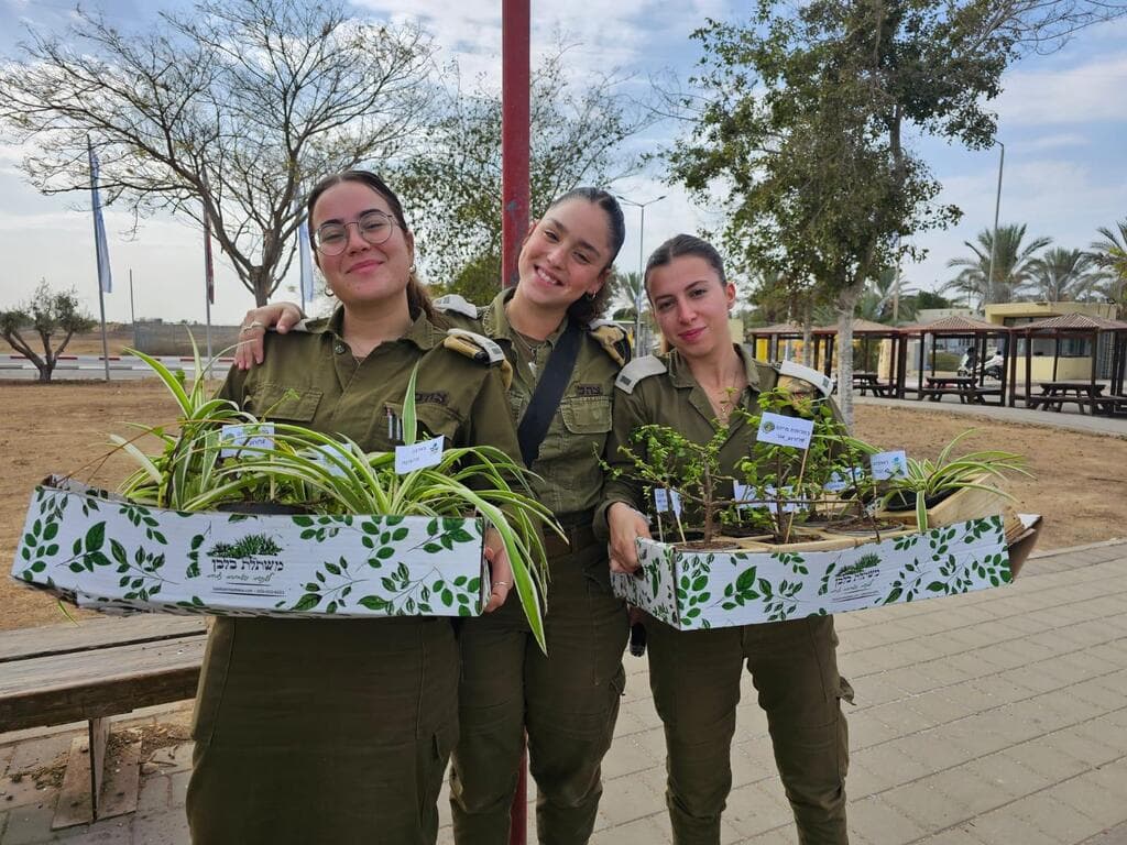 ייחורים, לזרוע אור