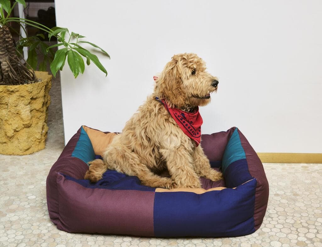 HAY Dogs Bed, בטולמנ'ס דוט
