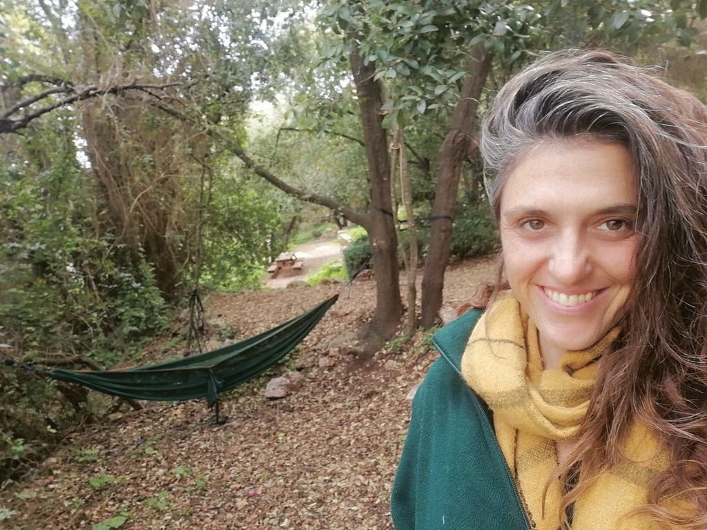 לימוס בלס