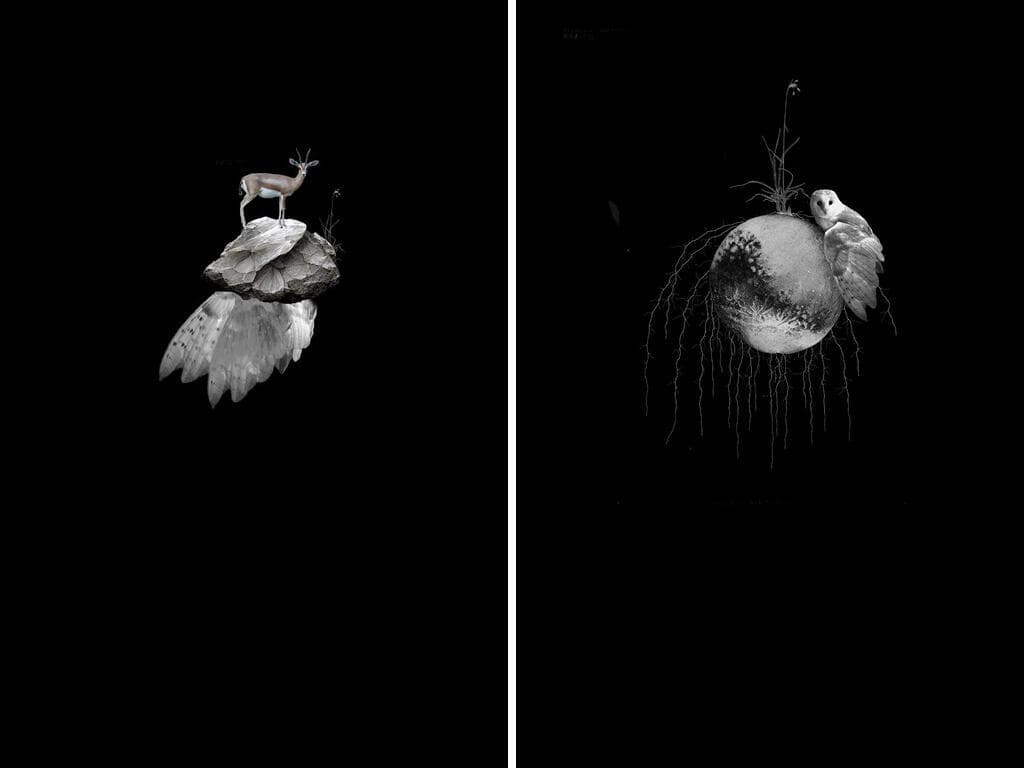 יצירות של סופי ברזון מקאי, תושבת בארי שניצלה בטבח, יוצגו ביד מרדכי