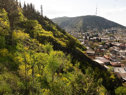 Urban Forest Tbilisi, שילוב של פארק ירוק בעיר שוקקת