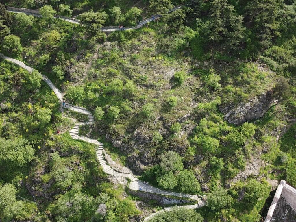 Urban Forest Tbilisi