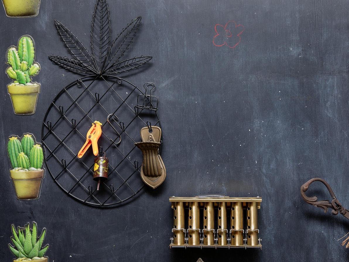 הבית של חנה מנקס