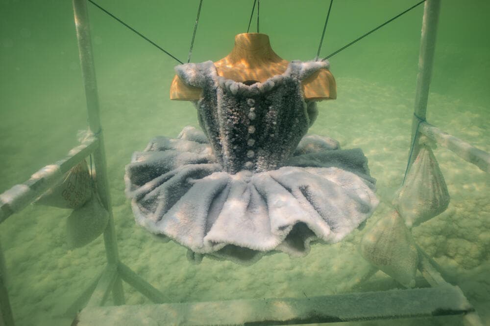 מהיצירות של סיגלית לנדאו בים המלח