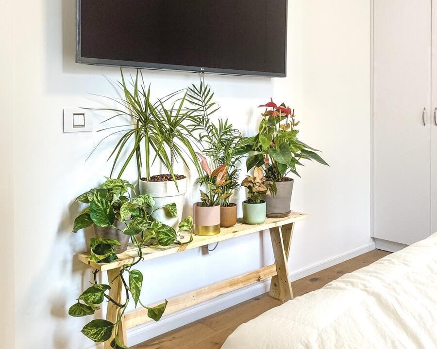 להכניס חיוניות ואיזון טבעי לכל חלל בבית, גם במנות קטנות (עיצוב וצילום: רינת טל, סוקולינה) Self-Care is Plant Care טרנד הטיפוח החדש לבית