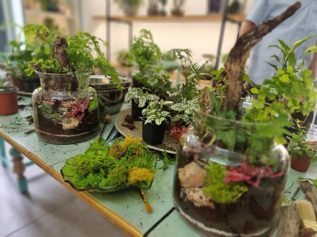 סדנת DIY להכנת טרריום ירוק הביתה