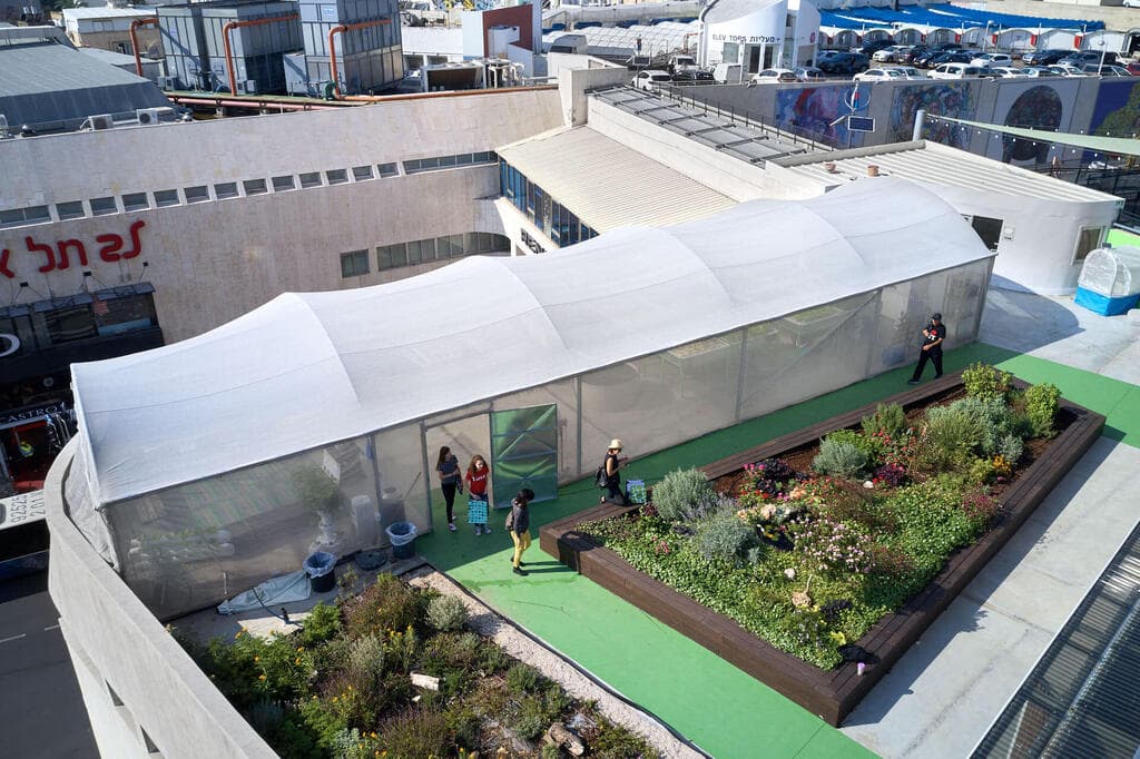 על גג דיזנגוף סנטר