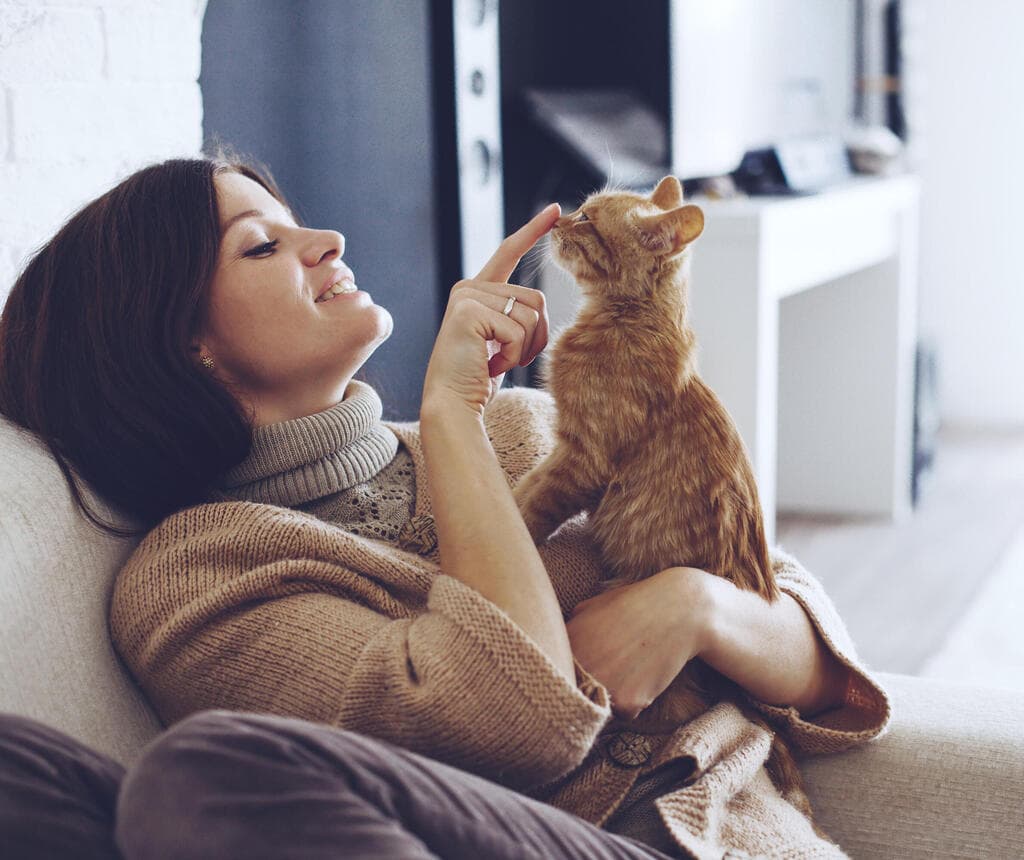 הממצאים מספקים הוכחה נגד "אפקט ה־Cat Lady" 