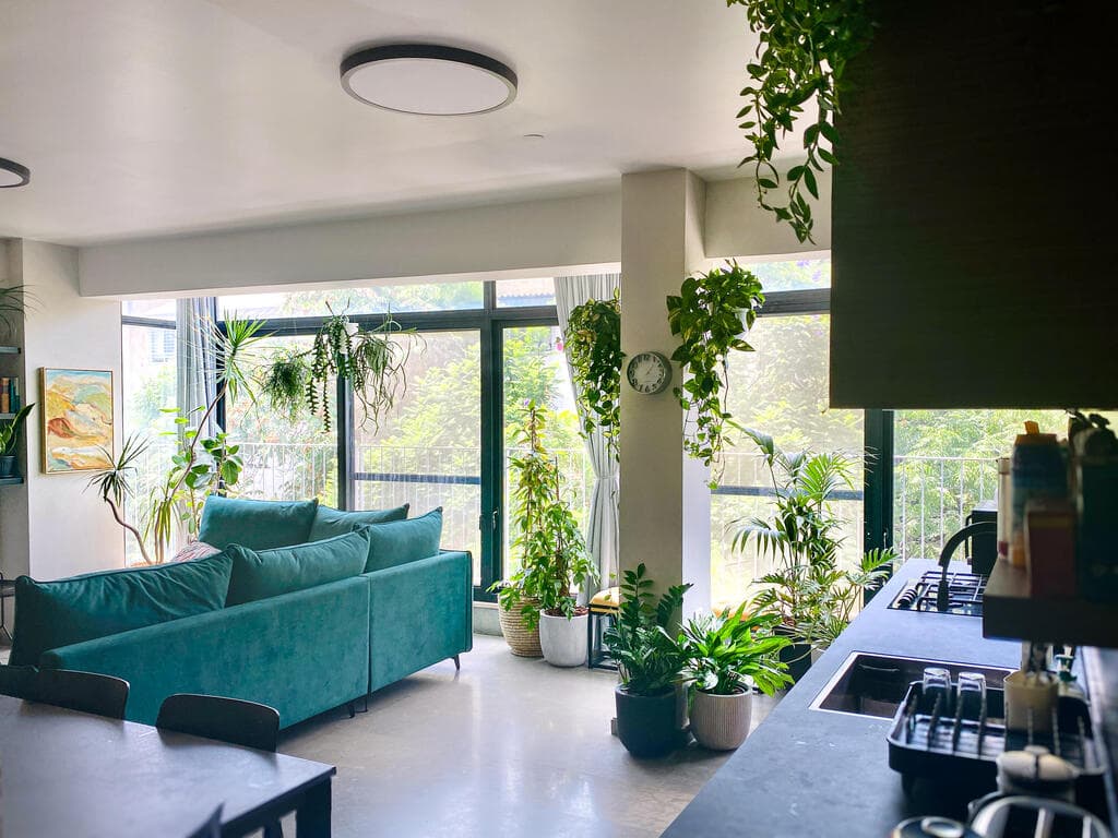 הבית של רחלי