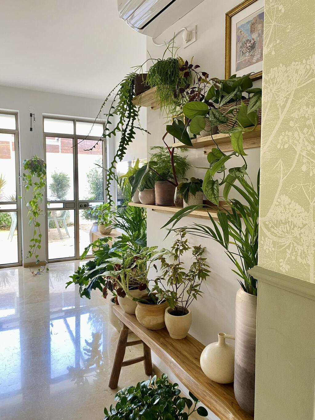 הבית של קרן