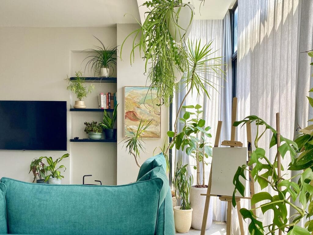 הבית של רחלי