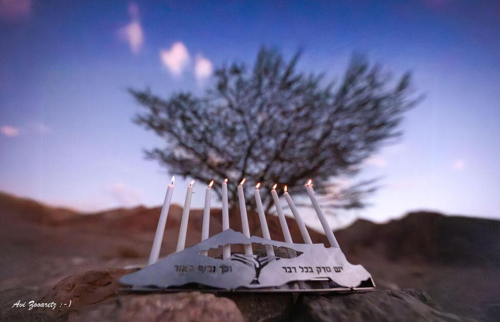 חנוכייה של עמותת נטל, עיצוב: חן תעוז, חלק מפרויקט שבע, טרמינל העיצוב בת ים (צילום: אבי זוארץ) חנוכייה של עמותת נטל, מעצבת חן תעוז, חלק מפרויקט שבע, טרמינל העיצוב בת ים