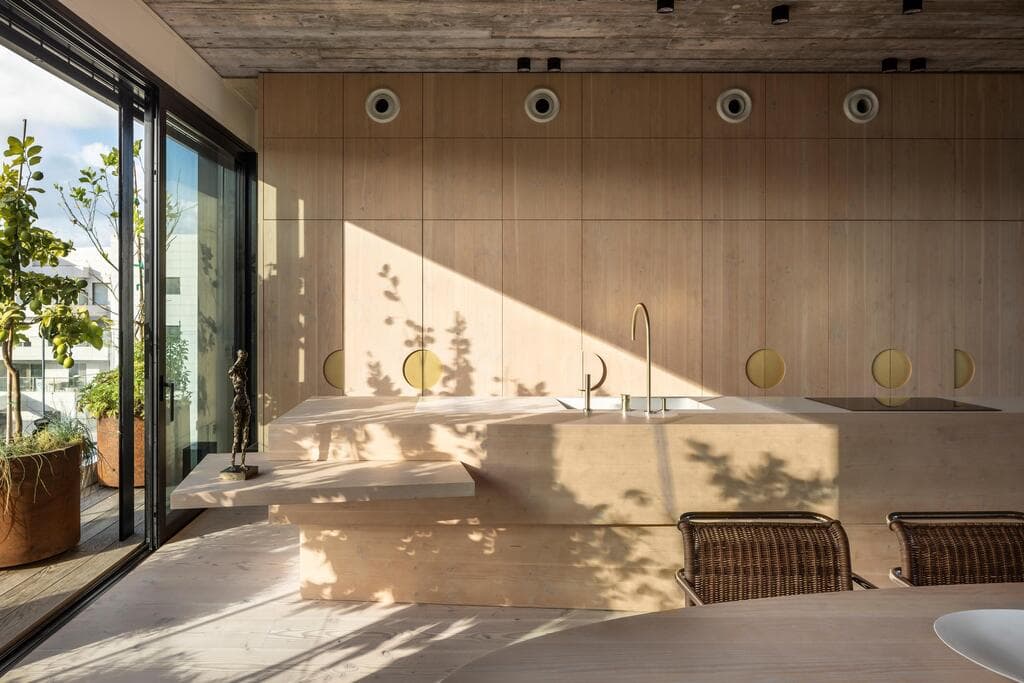 פנטהאוז בעיצוב אלכס מייטליס