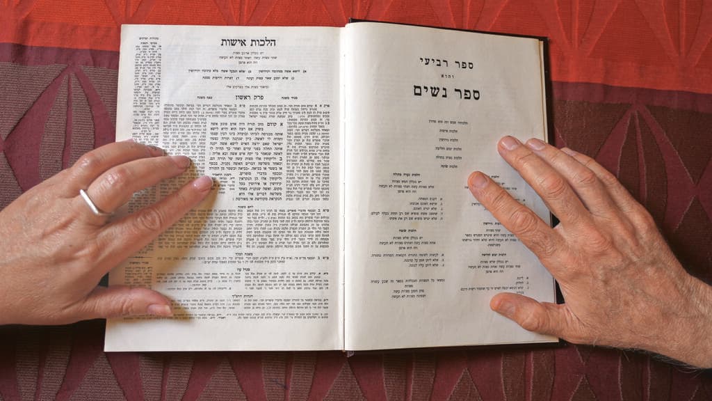 מתוך הסרט "צנועים"