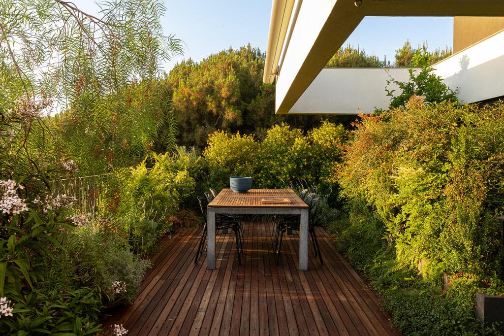 התכנון כמו מתרחק מהעיר ומשתלב בצמרות העצים (צילום: טל ניסים) פנטהאוז בתל אביב, עיצוב: דודי אוחיון