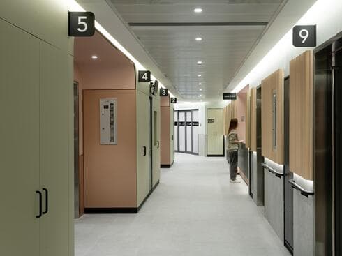 שילוב של ורוד, פיסטוק ועץ שילוב של ורוד, פיסטוק ועץ