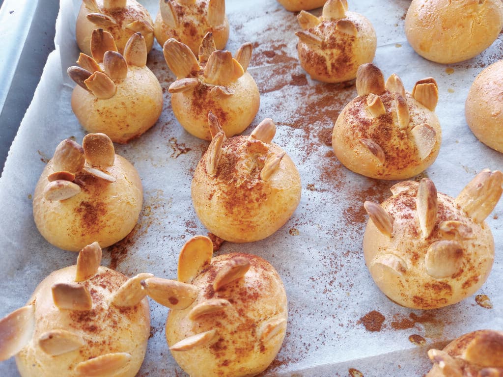 קינמונים (צילום: רונית הנגבי) קינמונים