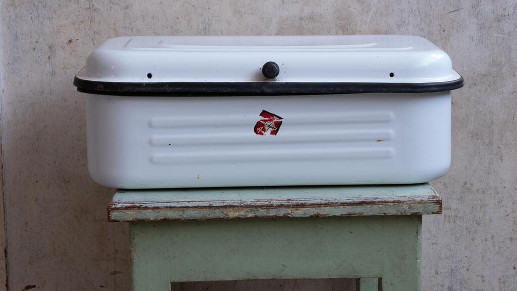 פופ-אפ וינטג', אוצר: גיל פנטו